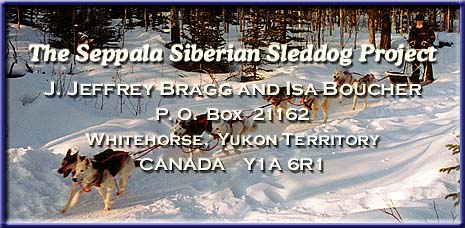 Seppala Kennels and the SSSD Project-
J. J. Bragg and Isa Boucher-
P. O. Box 21162-
Whitehorse, YT-
Canada Y1A 6R1